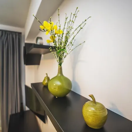 Green Studio Брашов